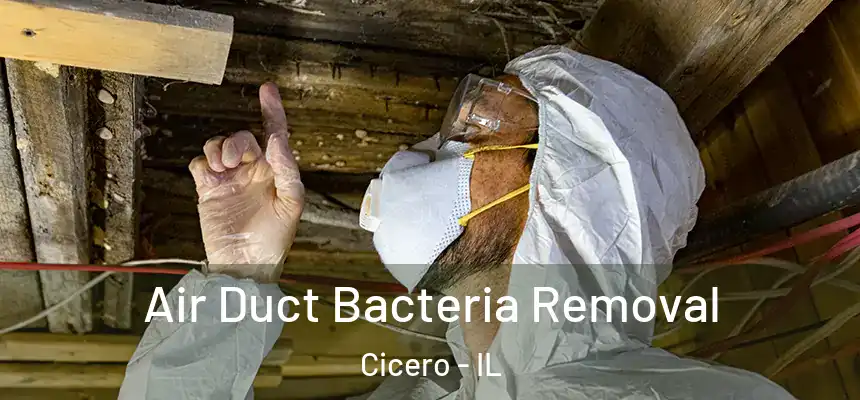  Air Duct Bacteria Removal Cicero - IL