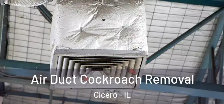 Air Duct Cockroach Removal Cicero - IL