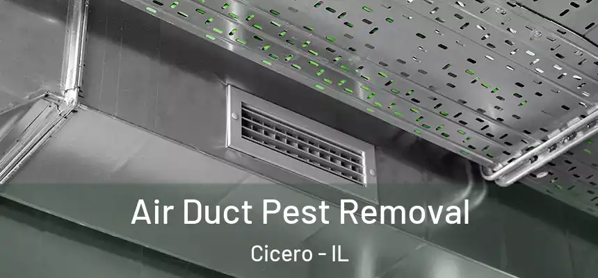  Air Duct Pest Removal Cicero - IL