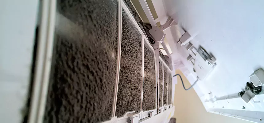 Preventive Air Duct Bacteria Removal in Cicero