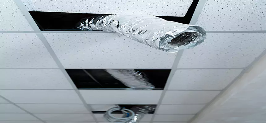 Affordable HVAC Sanitizing After Pest Removal in Cicero