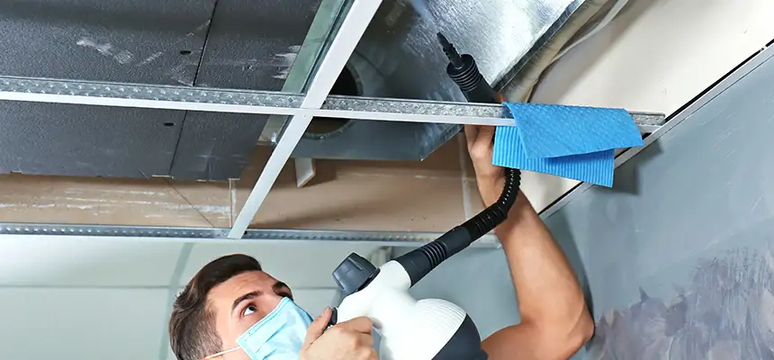 Our Air Duct Rodent Removal Services in Cicero, IL