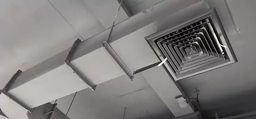 Restorative Allergy Relief Vent Cleaning – Coil, Blower & Housing Detail in Cicero