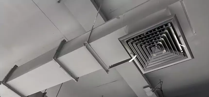 Our Rodent Droppings In Vents Services in Cicero, IL