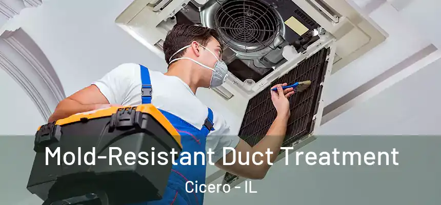  Mold-Resistant Duct Treatment Cicero - IL