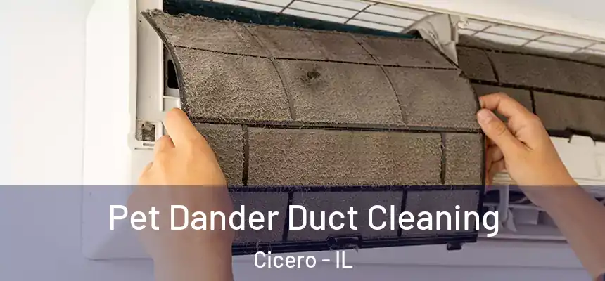 Pet Dander Duct Cleaning Cicero - IL