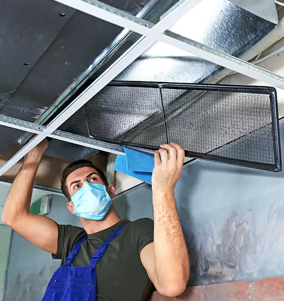 About Air Duct Bacteria Removal in Cicero