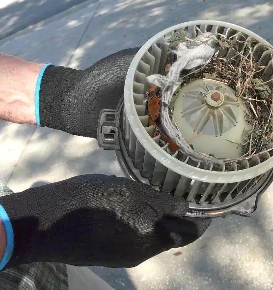 About Air Duct Rat Removal in Cicero, IL