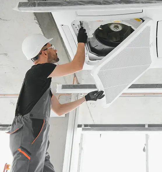 About Air Duct Rodent Removal in Cicero, IL