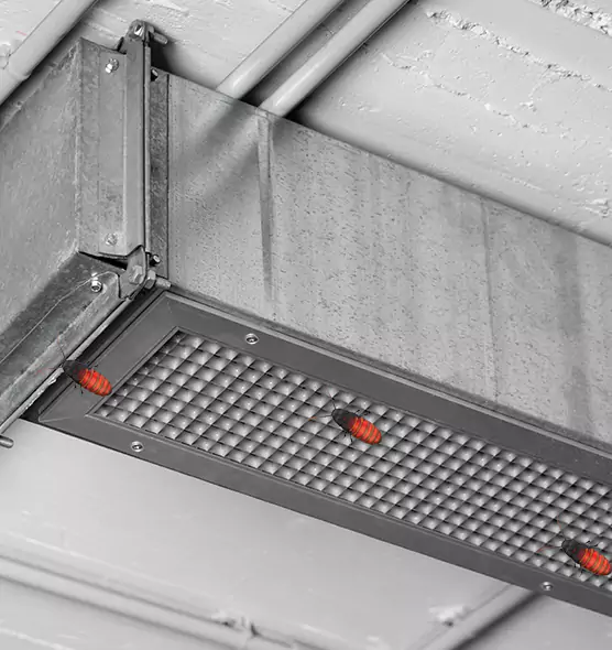 Affordable Insect Removal from Air Ducts in Cicero, IL