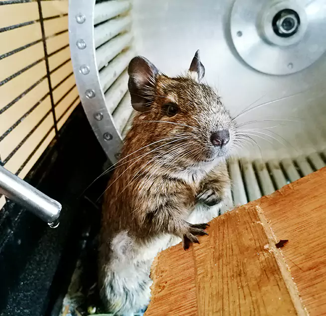 Why Homeowners & Businesses Trust Us Cicero, IL