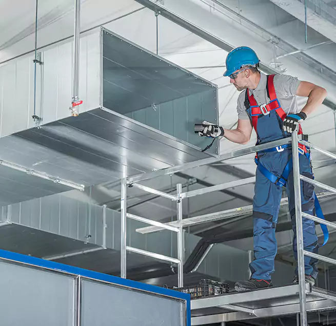 Why Homeowners & Businesses Trust Us in Cicero, IL?