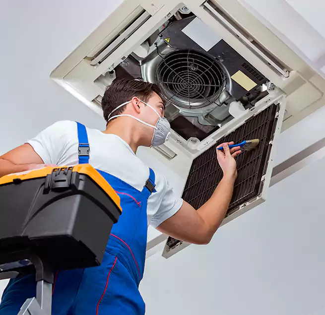 Why Homeowners & Businesses Trust Us in Cicero, IL