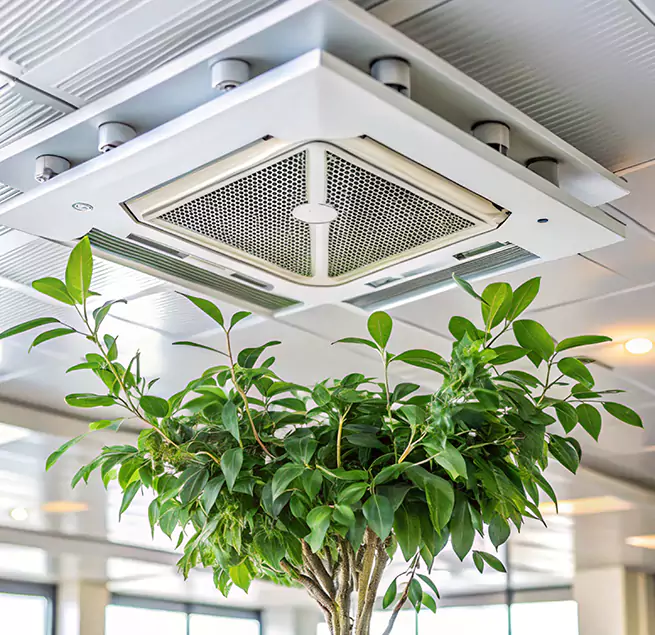 Why Homeowners & Businesses Trust Us in Cicero, IL