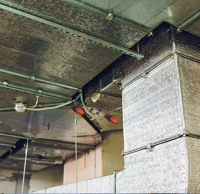 Why Homeowners & Businesses Trust Us Cicero, IL?