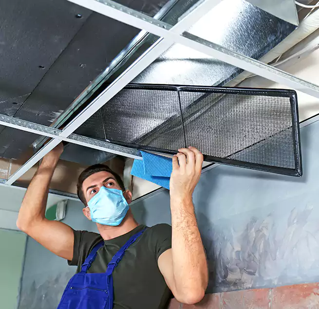 Why Homeowners Businesses Trust Us in Cicero, IL